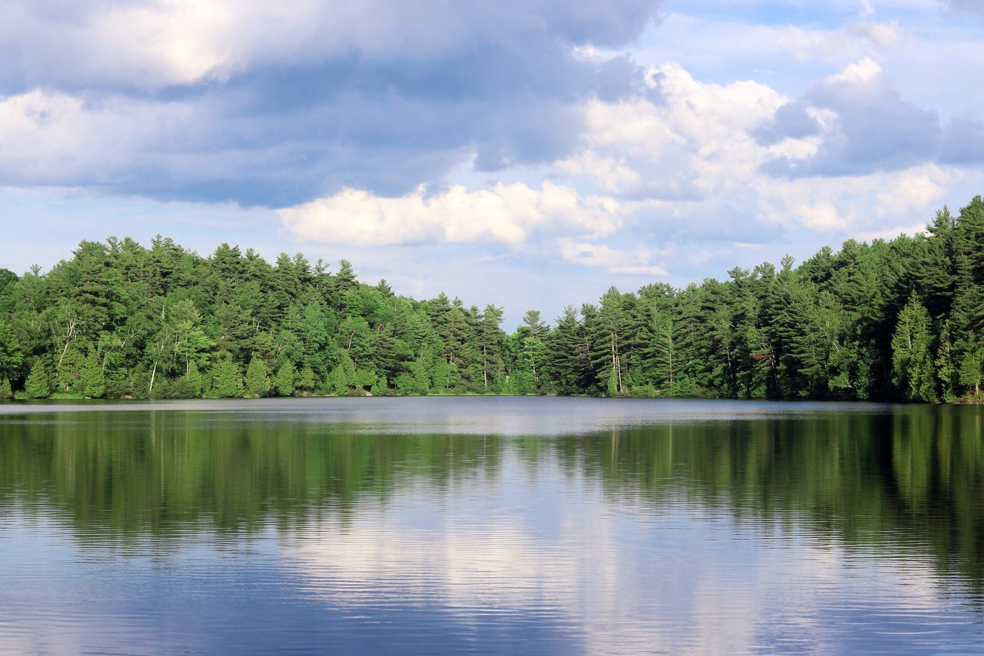 Summer in Outaouais, Gatineau Park