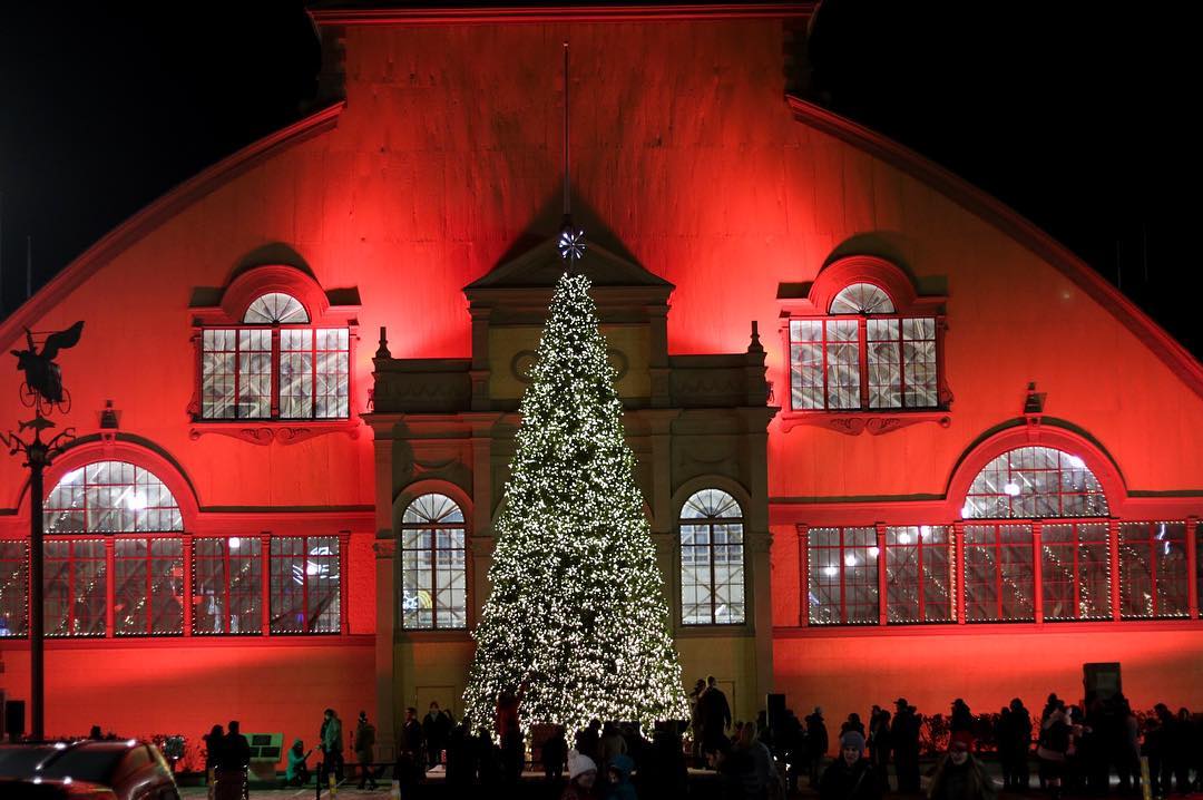 Everything You Need To Know About The Ottawa Christmas Market Little