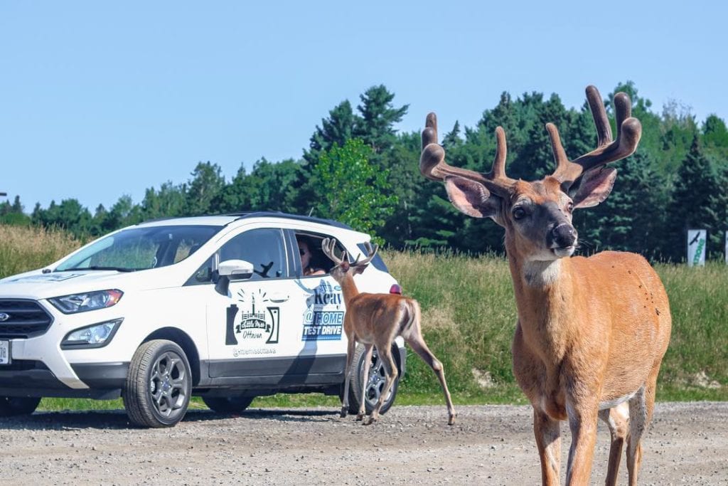 Parc Omega