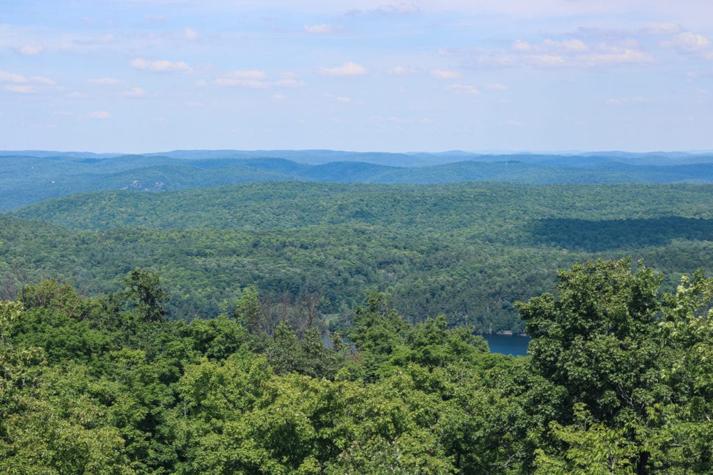 Gatineau Park