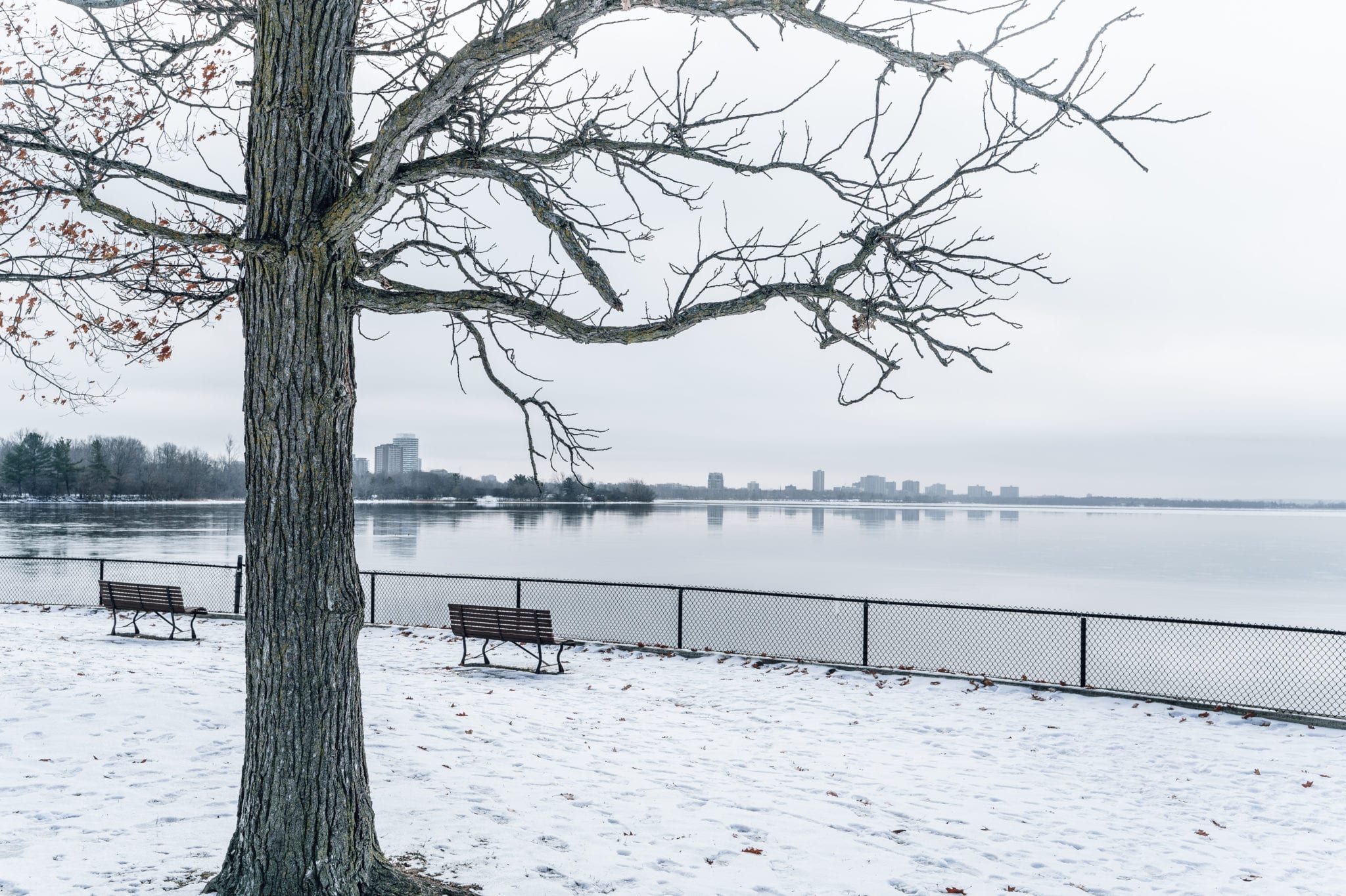 Best Things To Do In Westboro Little Miss Ottawa