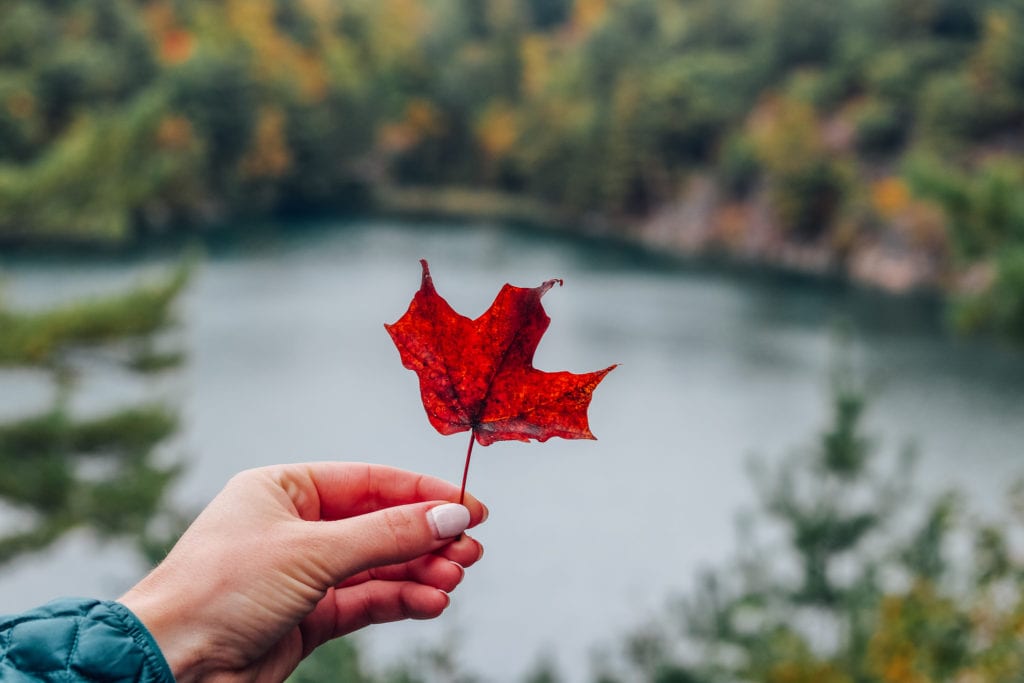 Gatineau Park