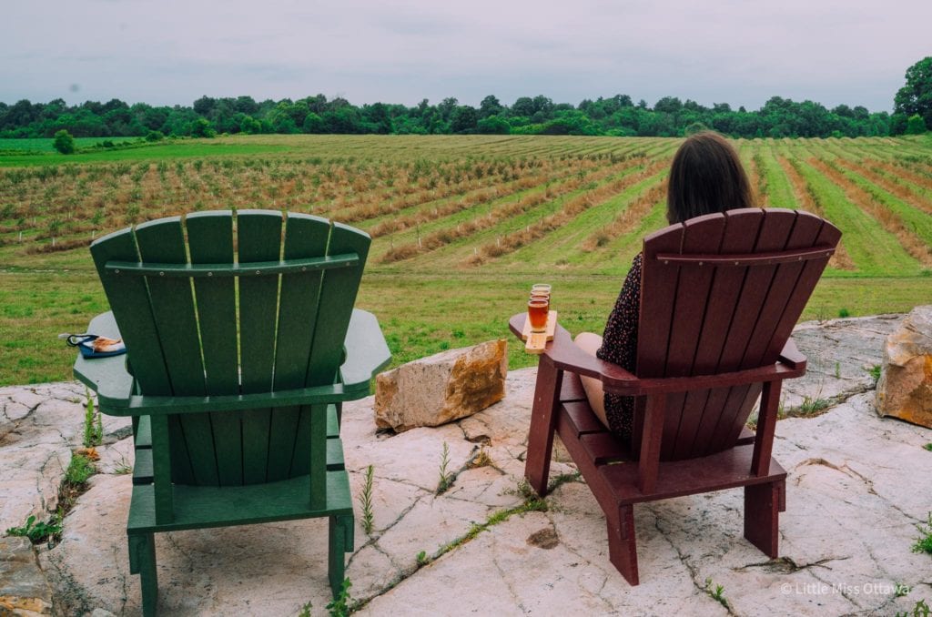 1000 Islands BUSL Cider