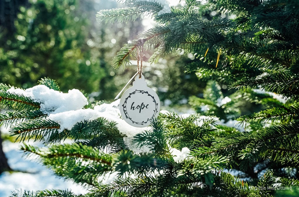 Ottawa Christmas Tree Farms