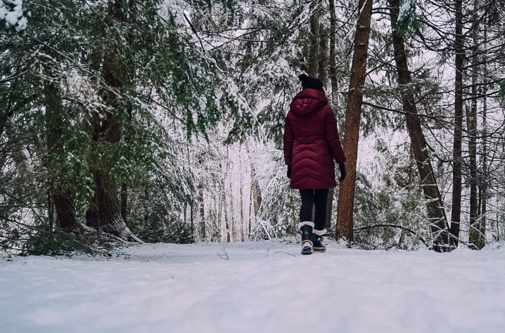 Winter Hikes In Ottawa