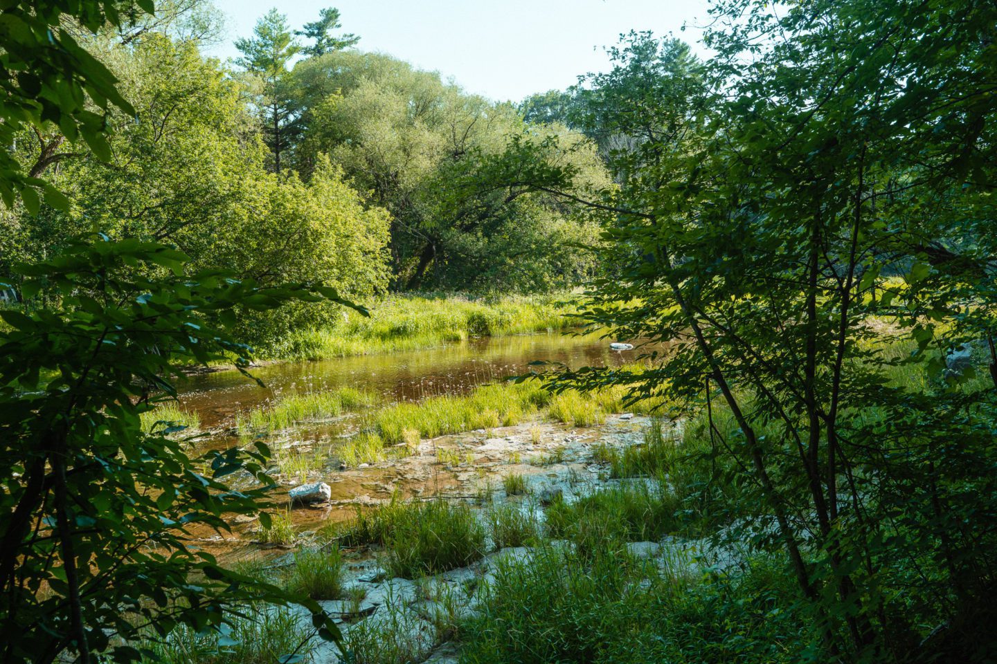 Fitzroy Provincial Park