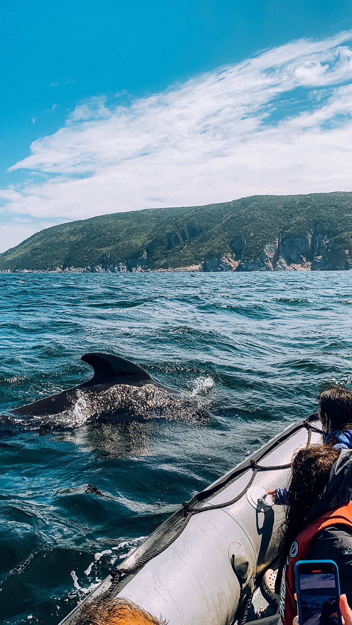 Whale watching Cape Breton Island