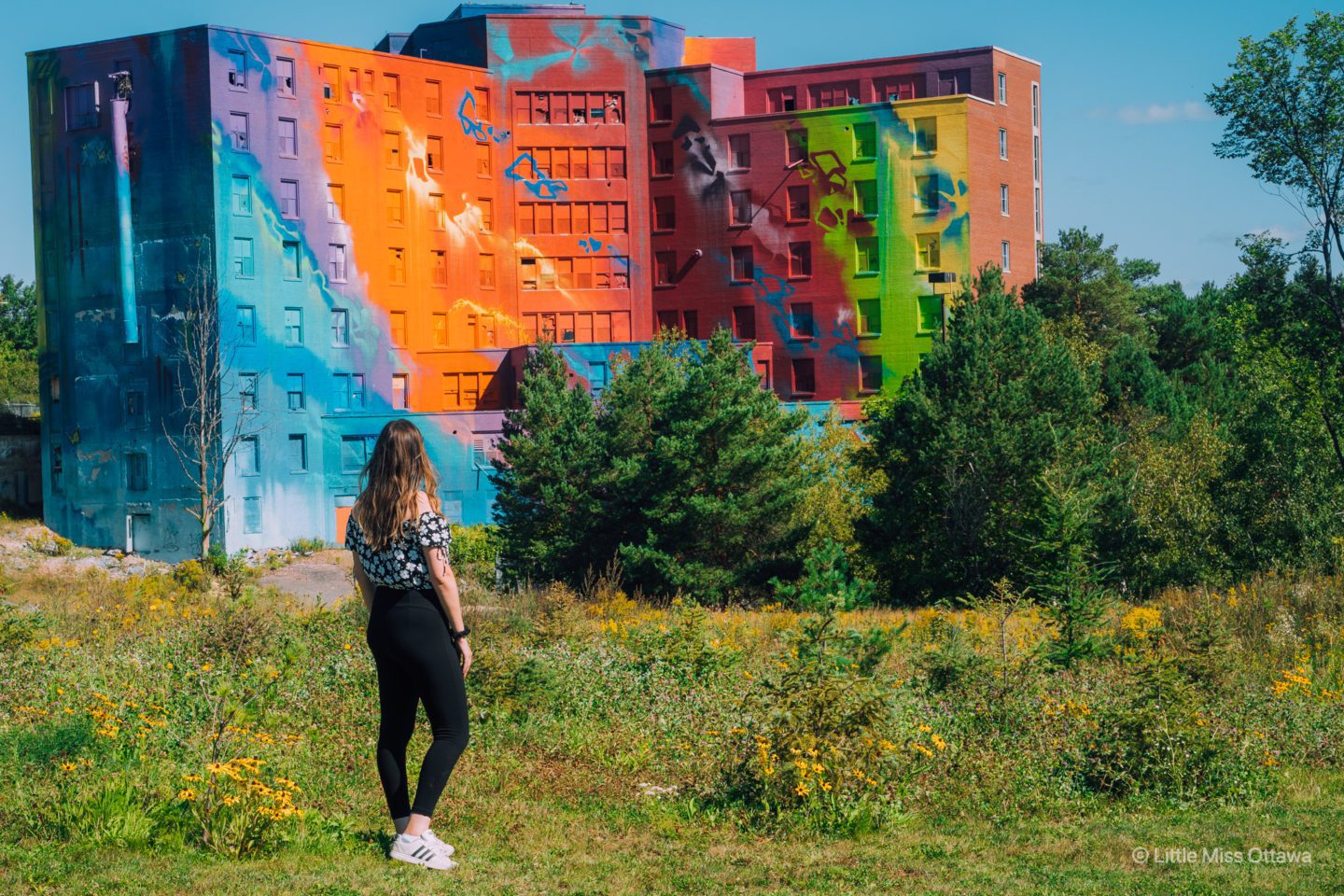 Things To Do in Sudbury Canada's Largest Mural