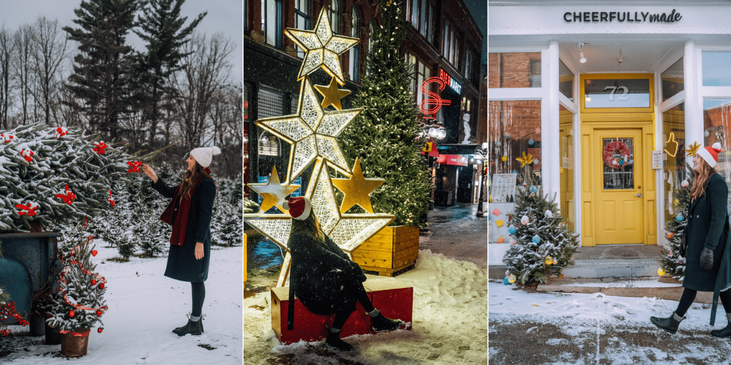 Ottawa Christmas Movies