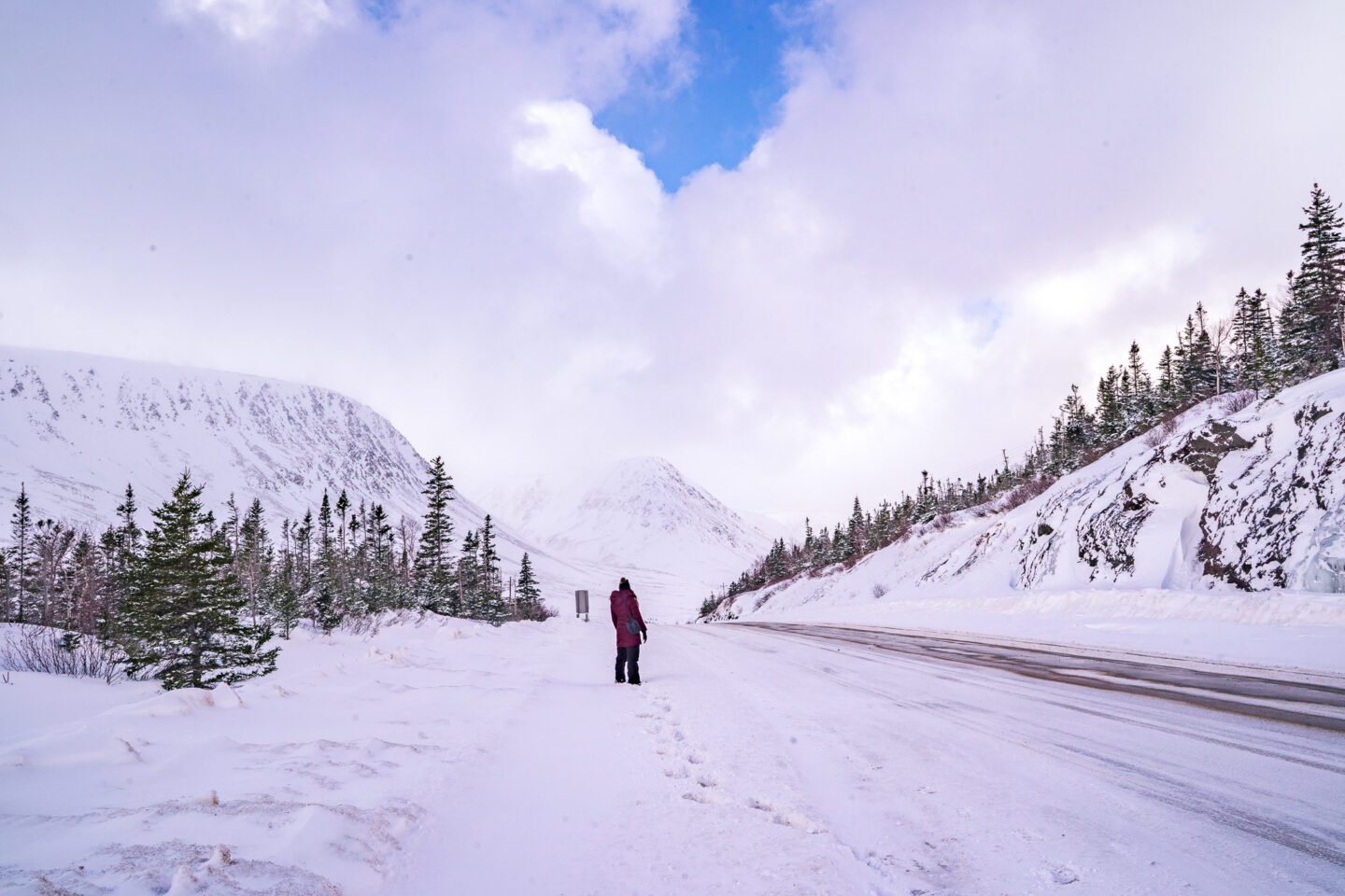 Tablelands Gros Morne