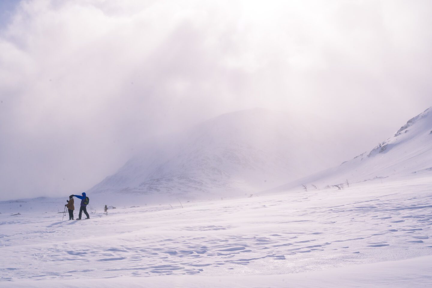 Tablelands Gros Morne