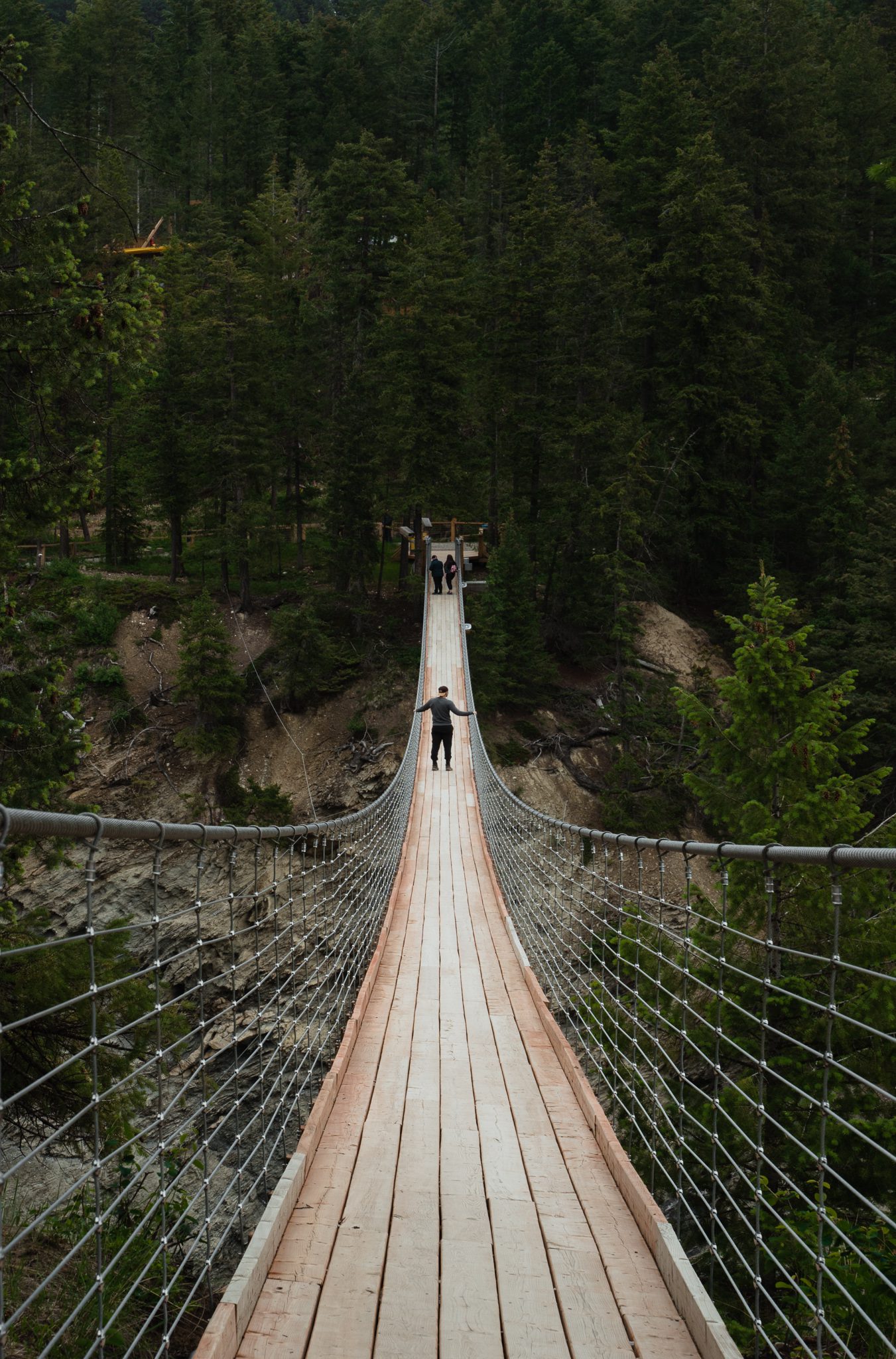 Golden Skybridge