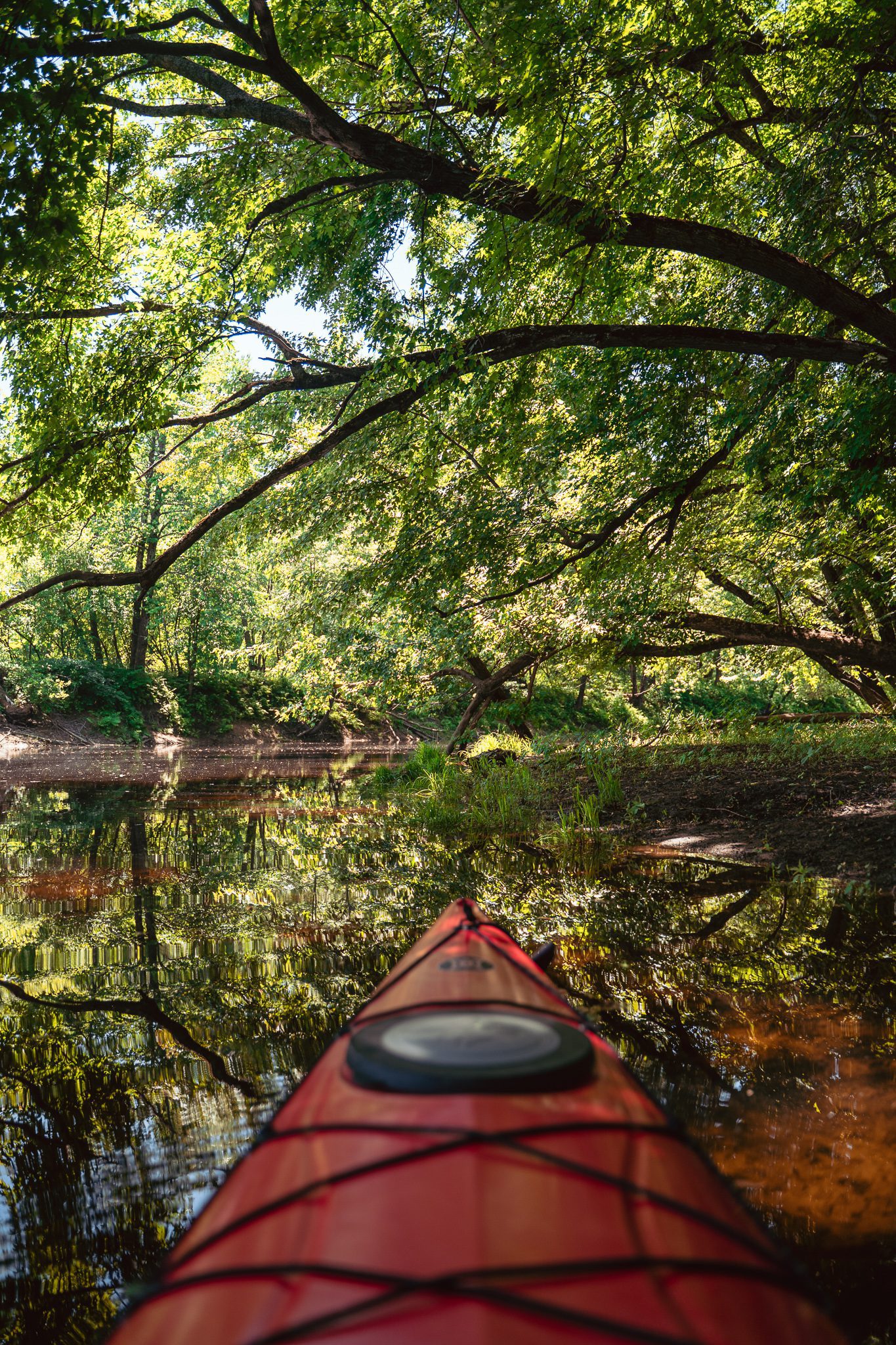 kayaking Fredericton