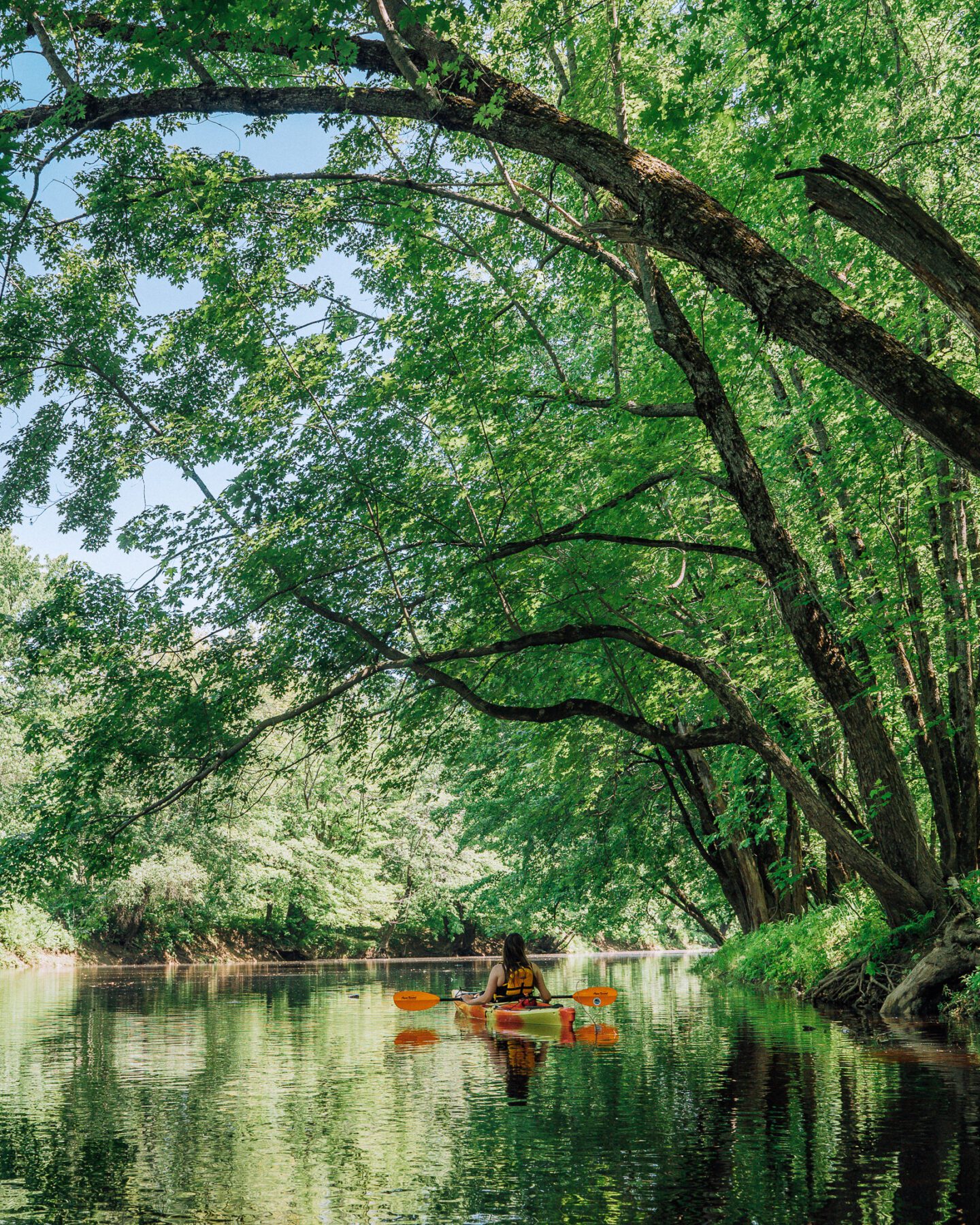 kayaking Fredericton