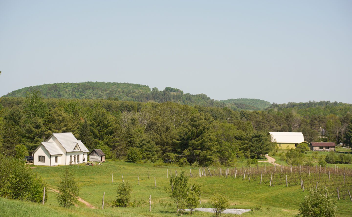 Petite Nation Wine and Cider Tour