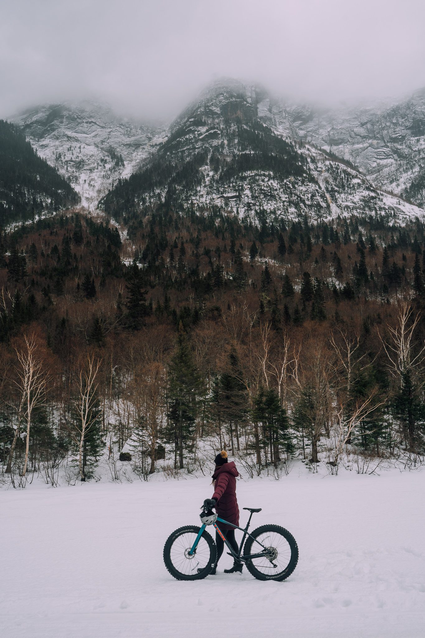 Hautes-Gorges-de-la-Rivière-Malbaie Charlevoix