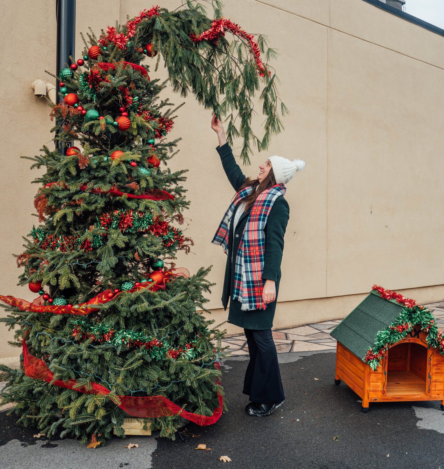 Downtown Canandaigua Christmas Grinch Village