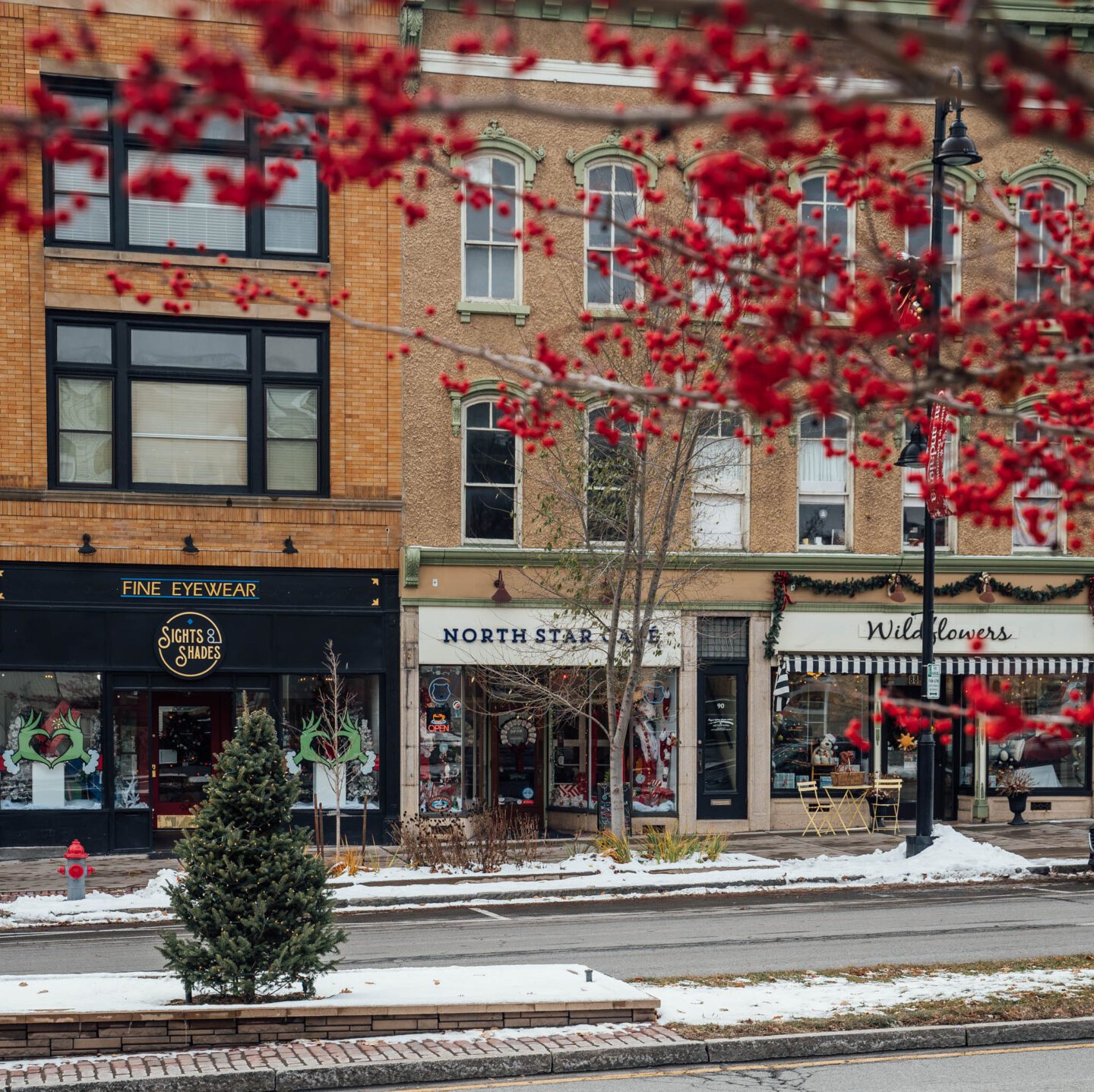 Downtown Canandaigua Christmas 