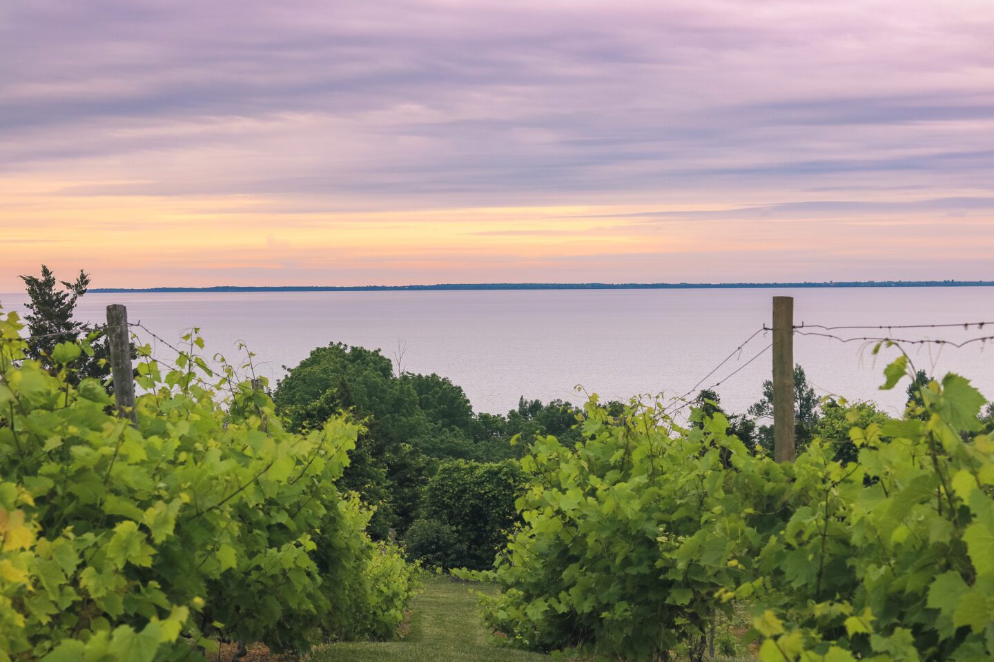 Prince Edward County Weekend Itinerary