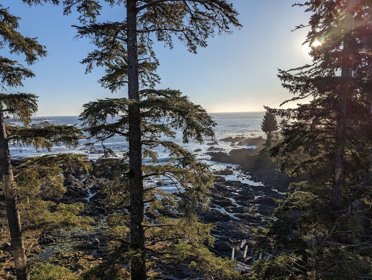 Wild Pacific Trail Tofino