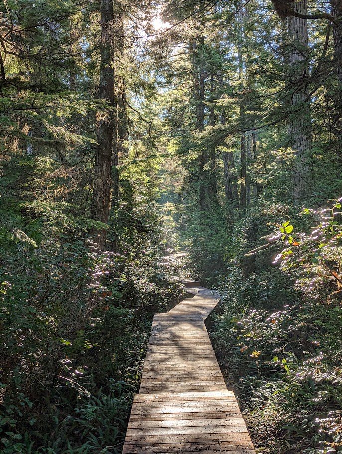 Ucluelet Rainforest Trail