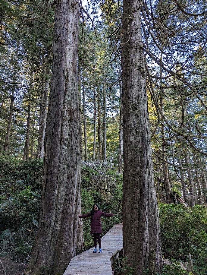 Cathedral Grove Ucluelet