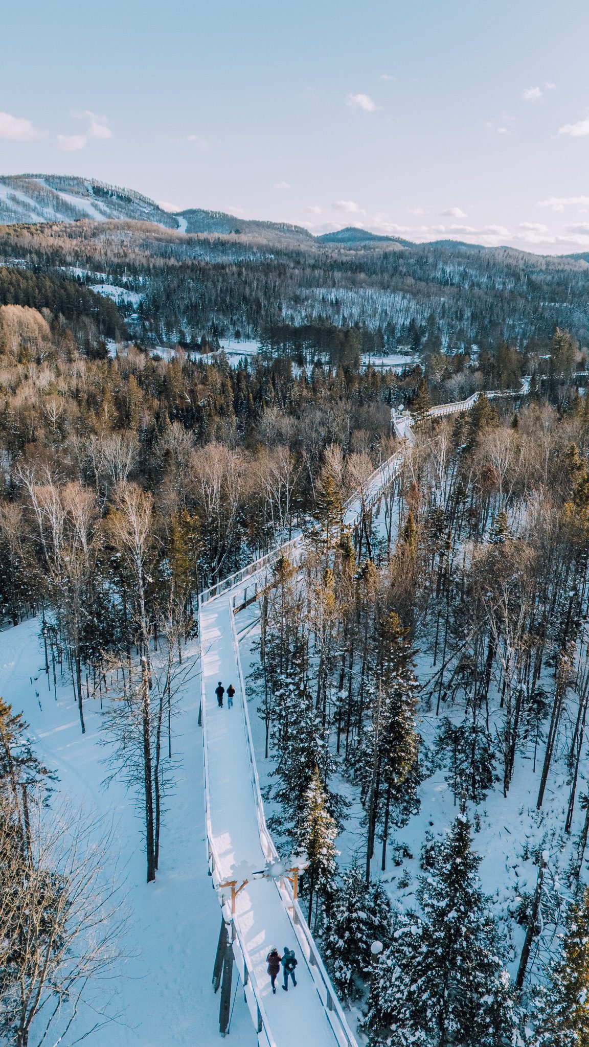 Sentier des cimes Laurentides