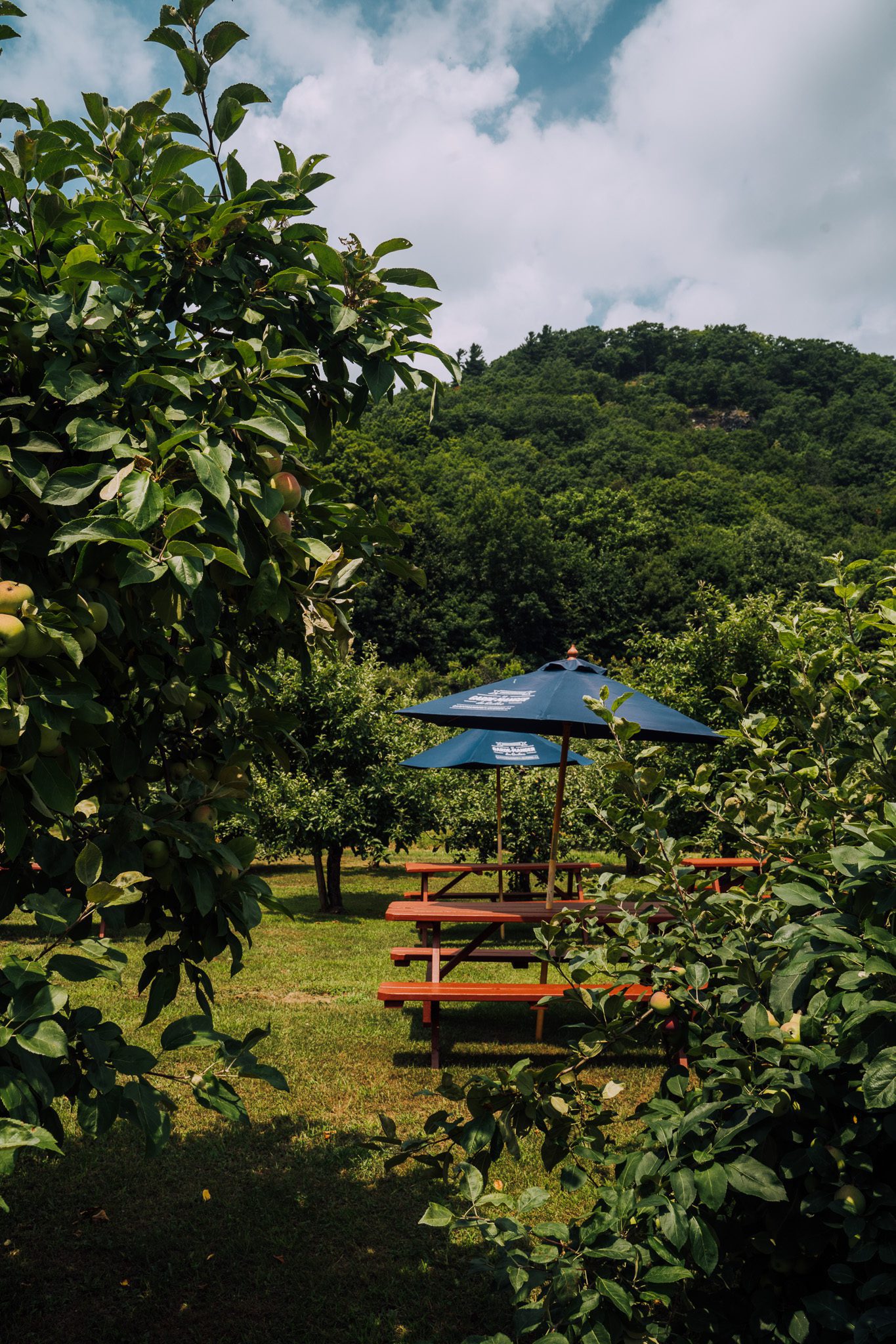 Cidérie Michel Jodoin Montérégie