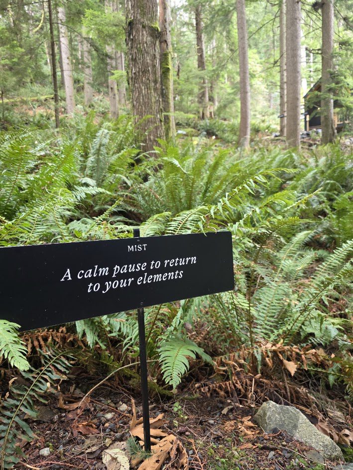 Mist Thermal Sanctuary Bowen Island