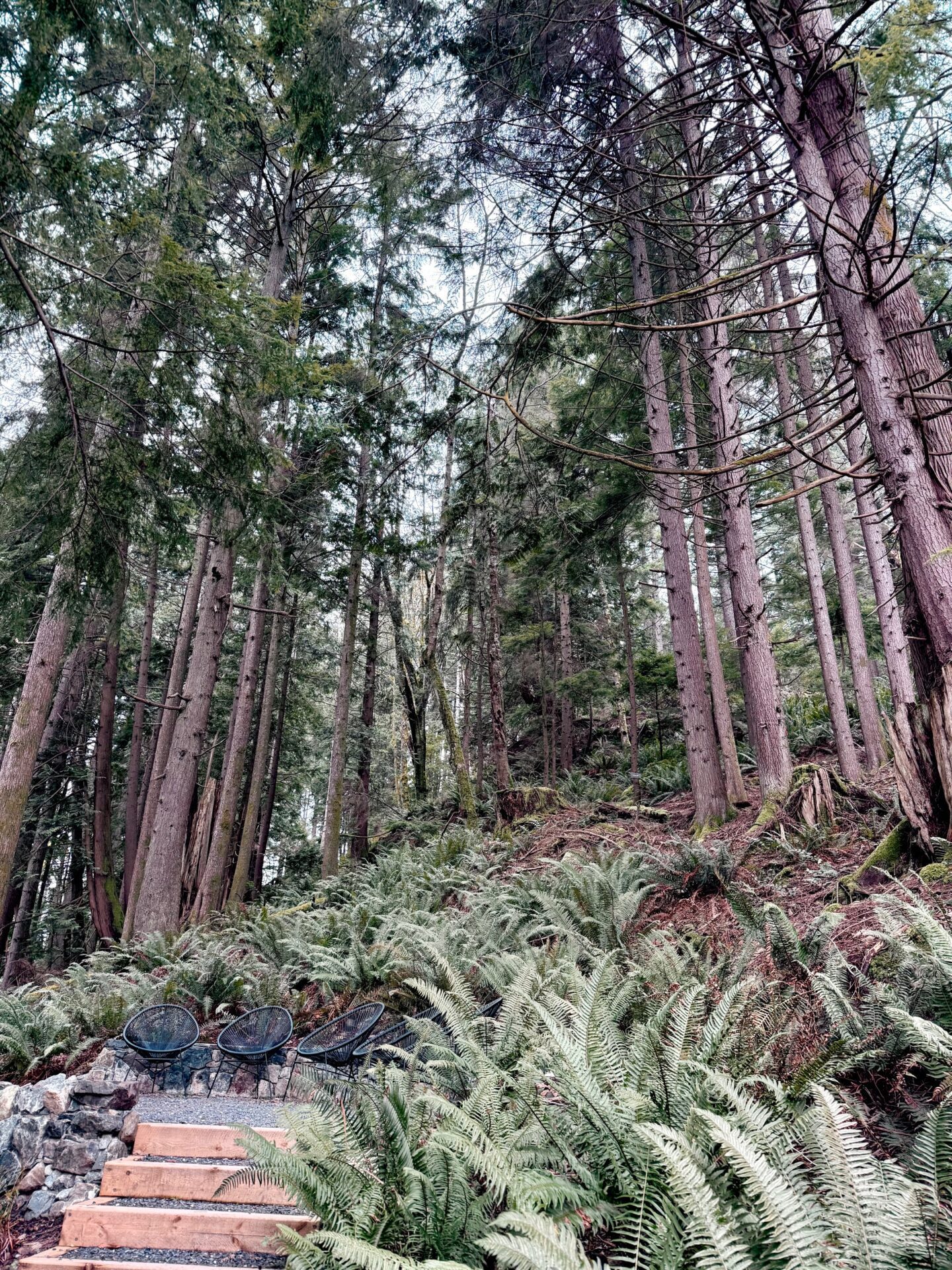 Mist Thermal Sanctuary Bowen Island