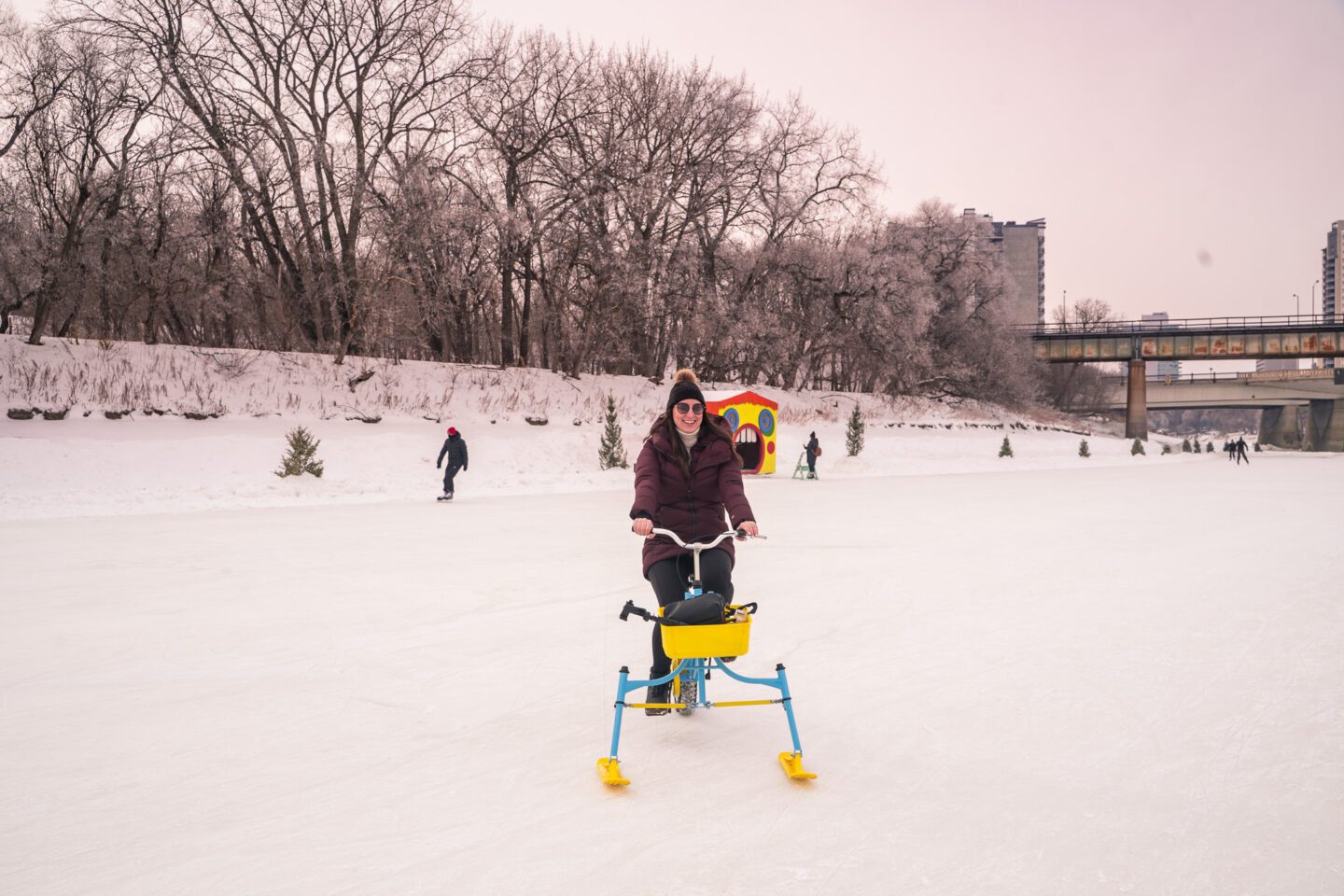 Winter in Winnipeg the forks