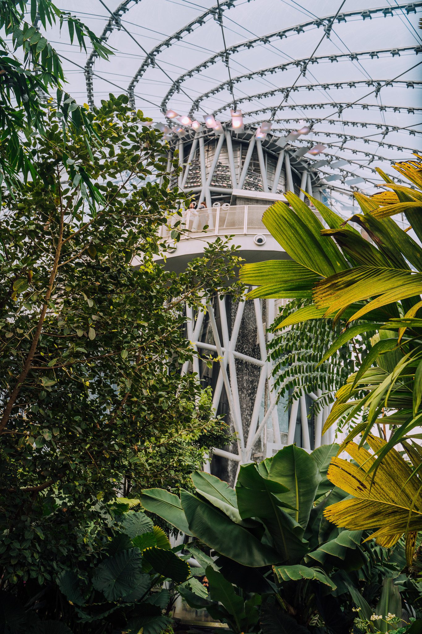 The Leaf Waterfall Winnipeg